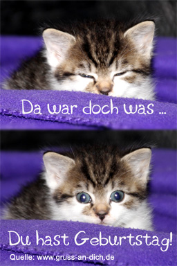 Spruche Zum Geburtstag Katzen Gute Geburtstagsspruche