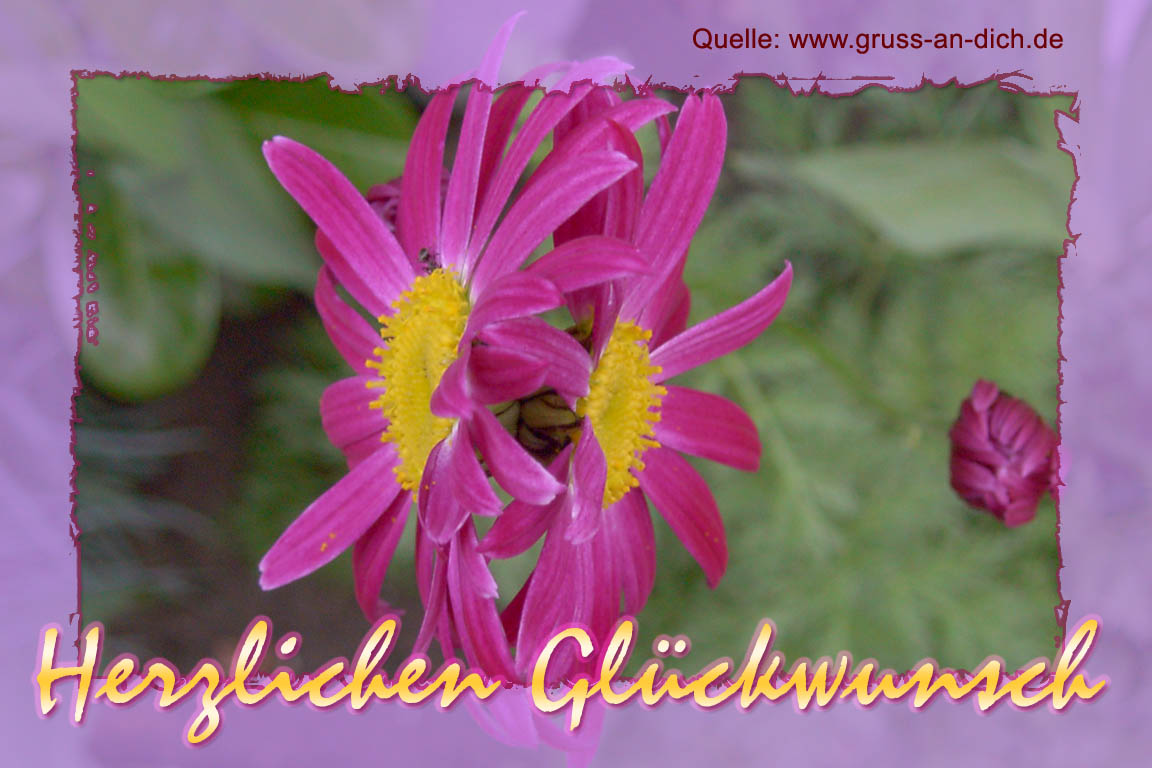 Glckwunschkarte