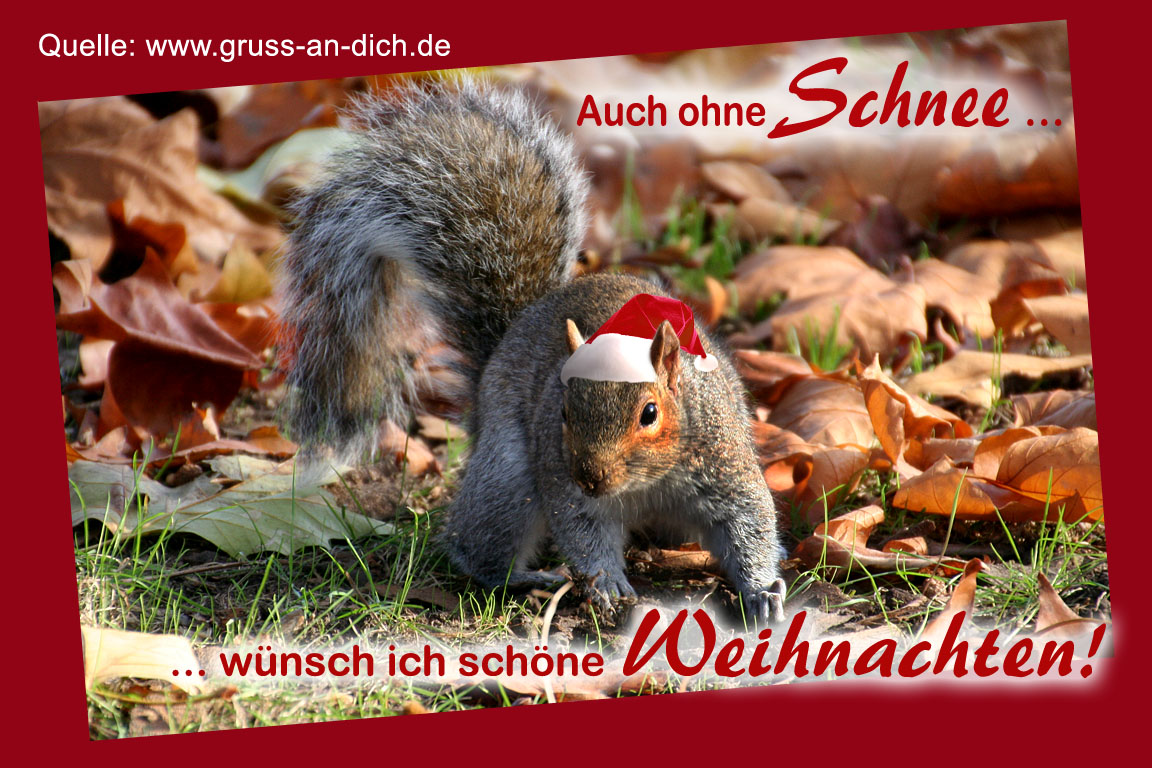 Weihnachtskarte