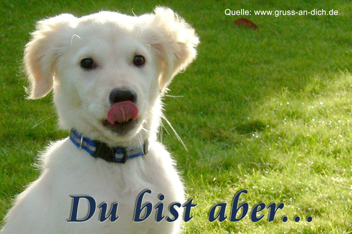 Freundschaftskarte