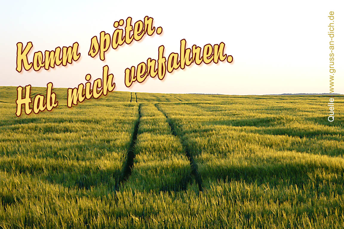 Entschuldigungskarte