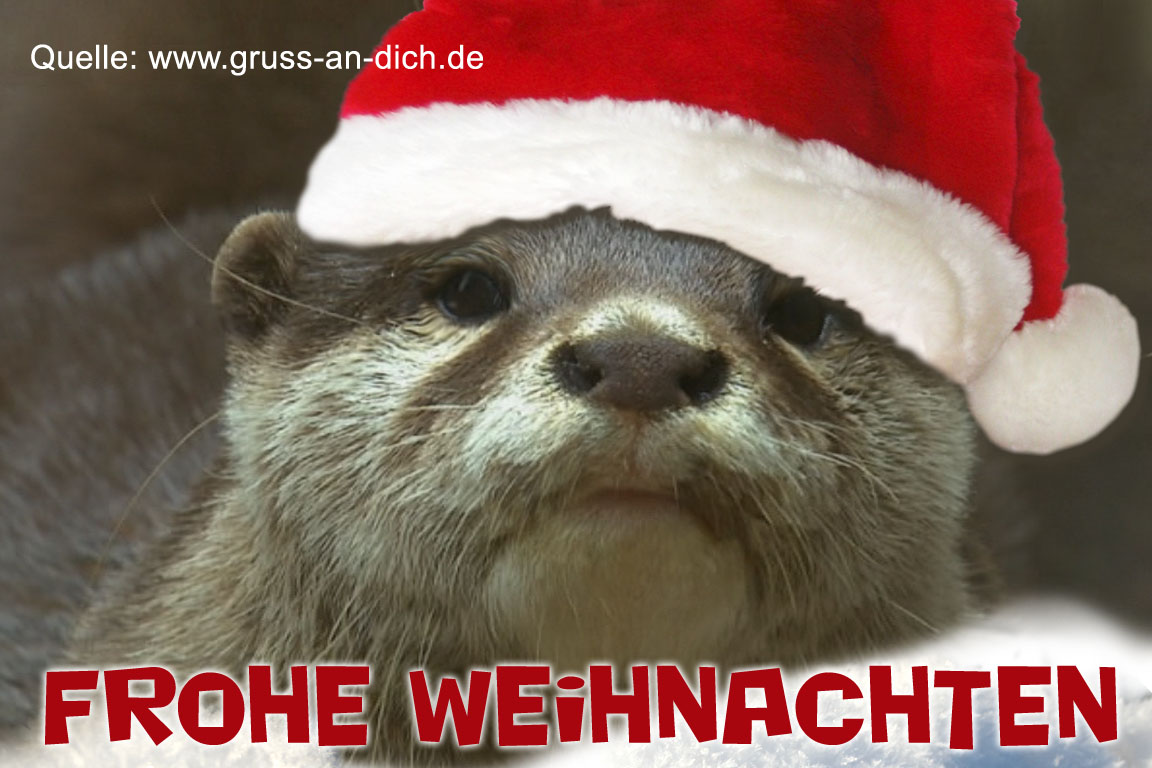 Weihnachtskarte