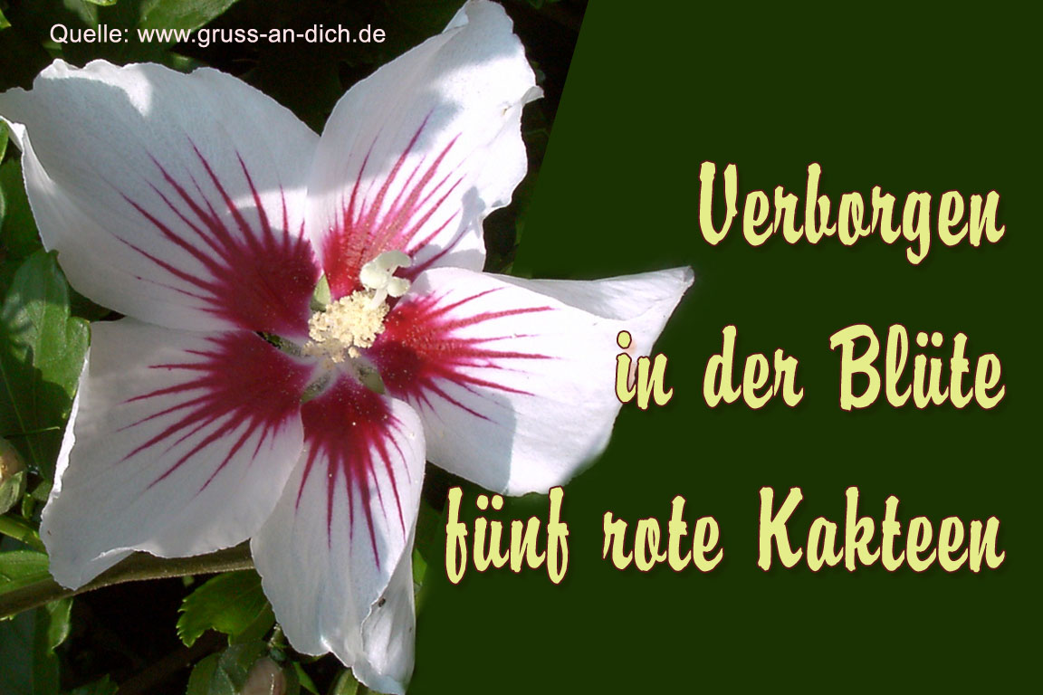 Grkarte