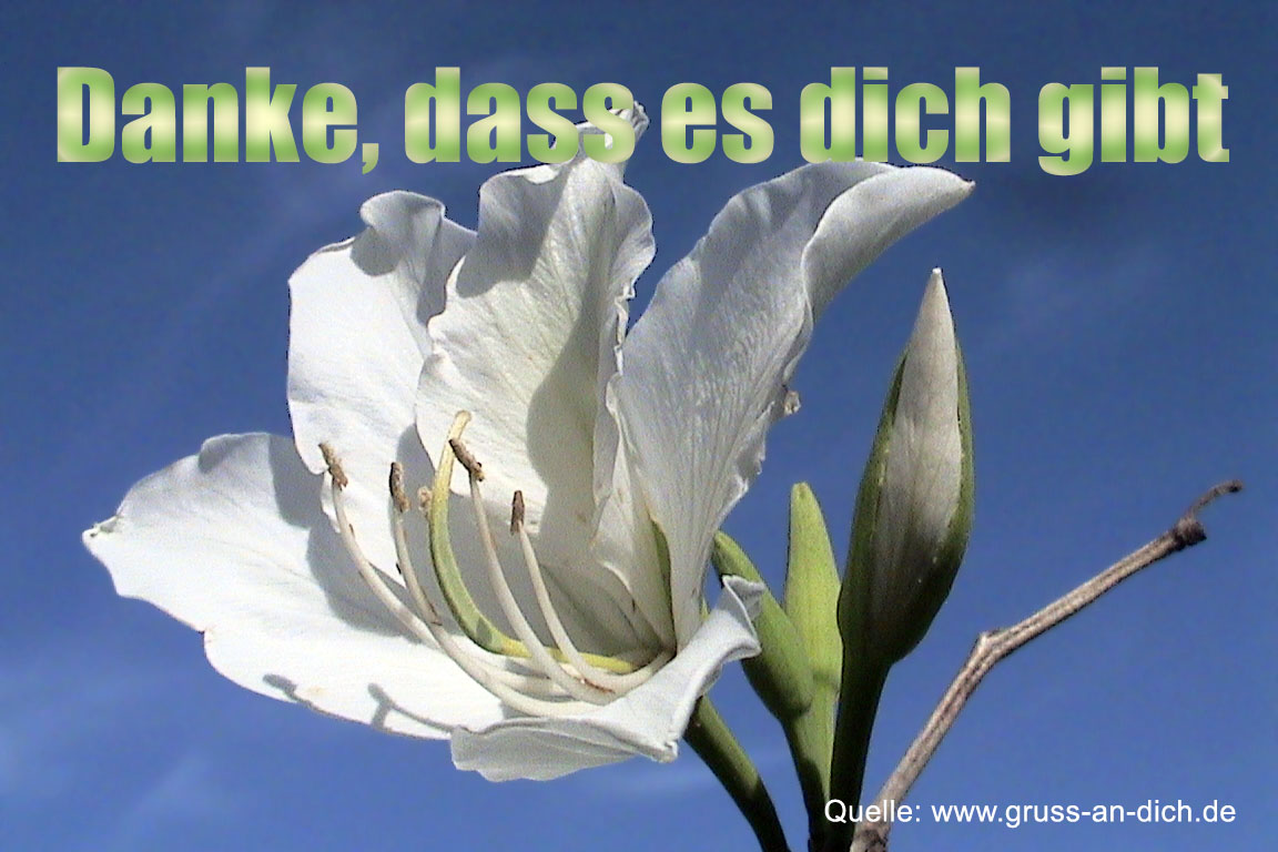 Dankeskarte