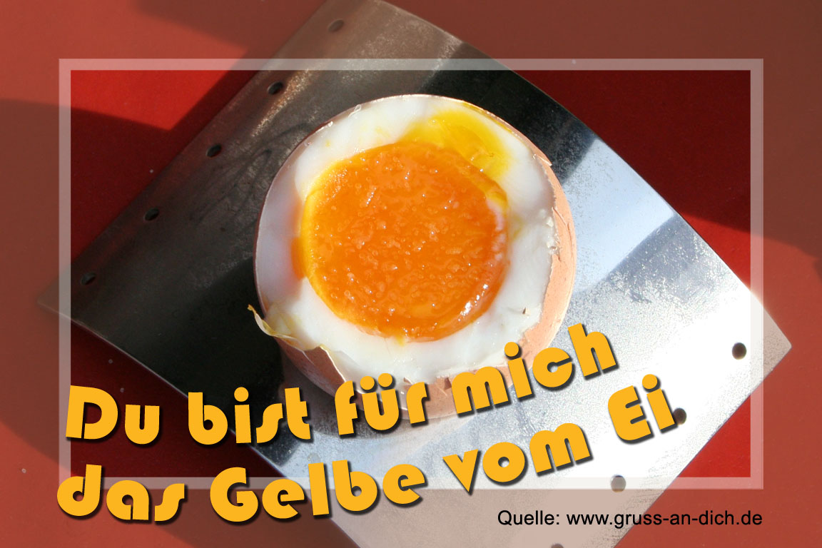 Freundschaftskarte