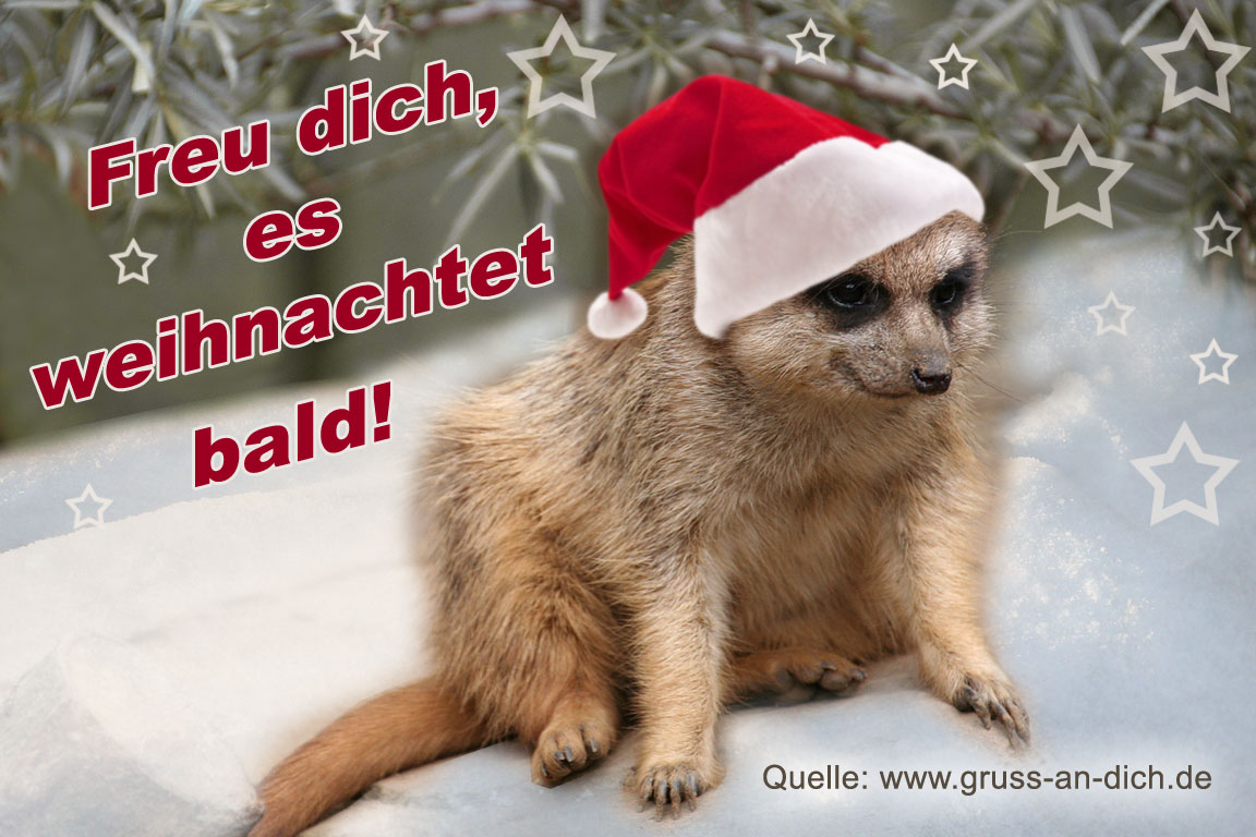 Adventskarte