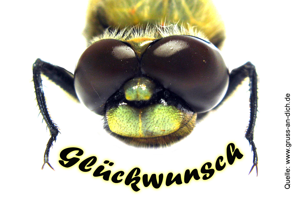 Glckwunschkarte