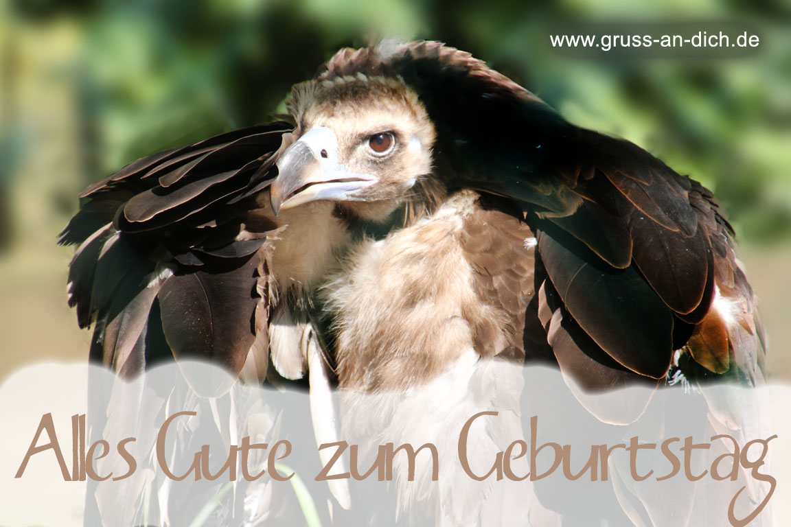 Geburtstagskarte