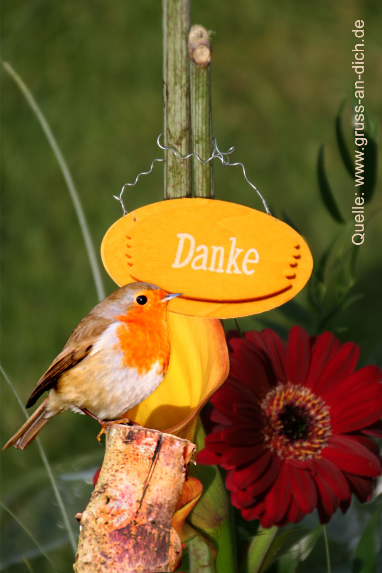 Dankeskarte