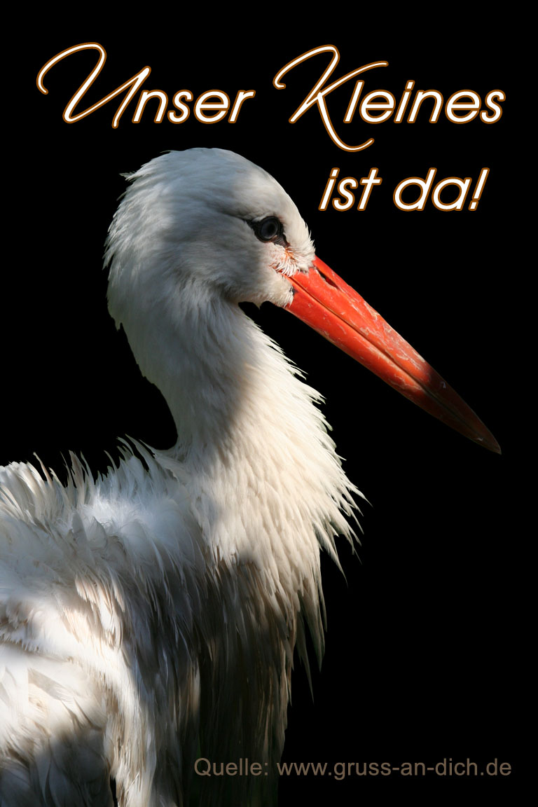 Karte zur Geburt