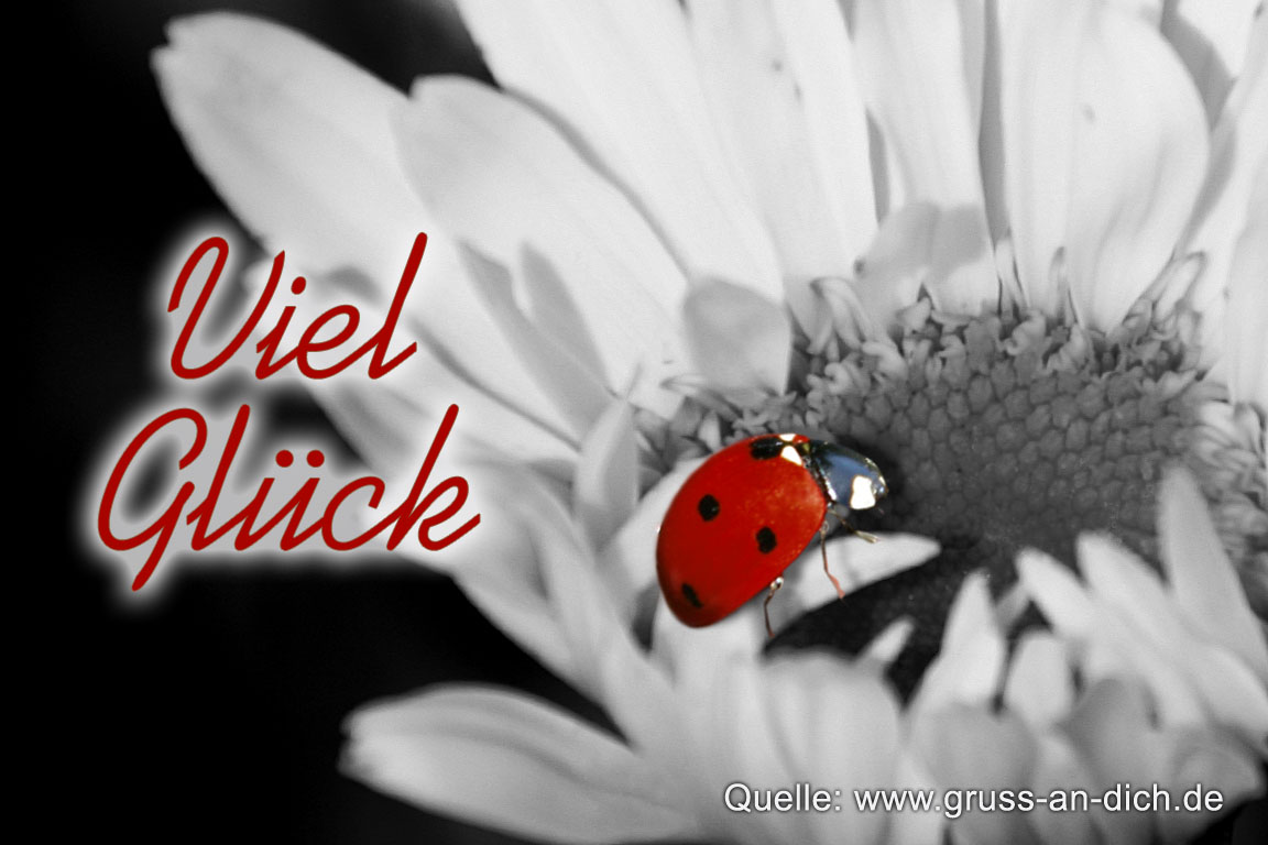 Glckwunschkarte