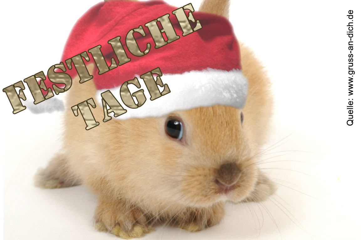 Weihnachtskarte