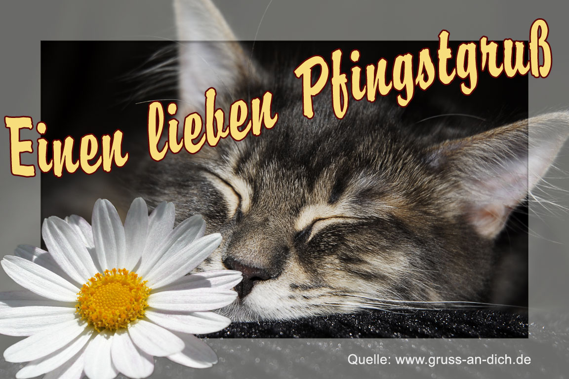 Karte zu Pfingsten