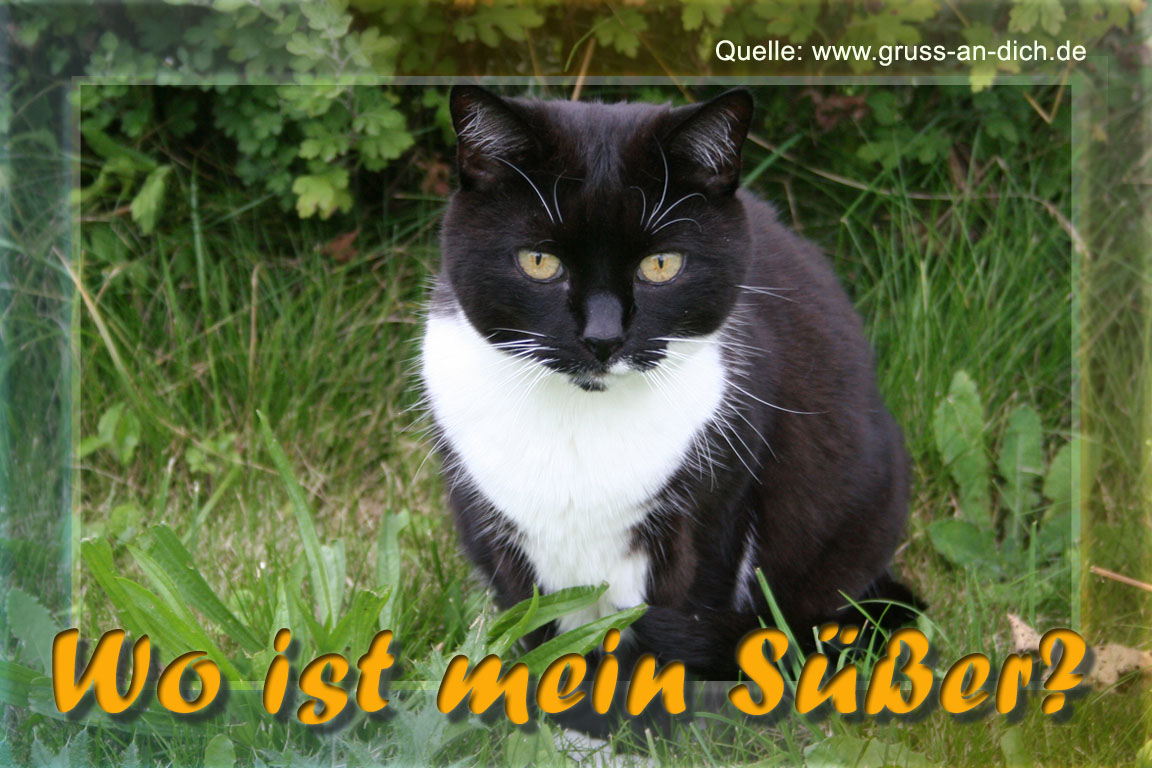 Sehnsuchtskarte