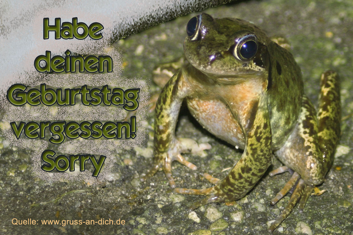 Entschuldigungskarte
