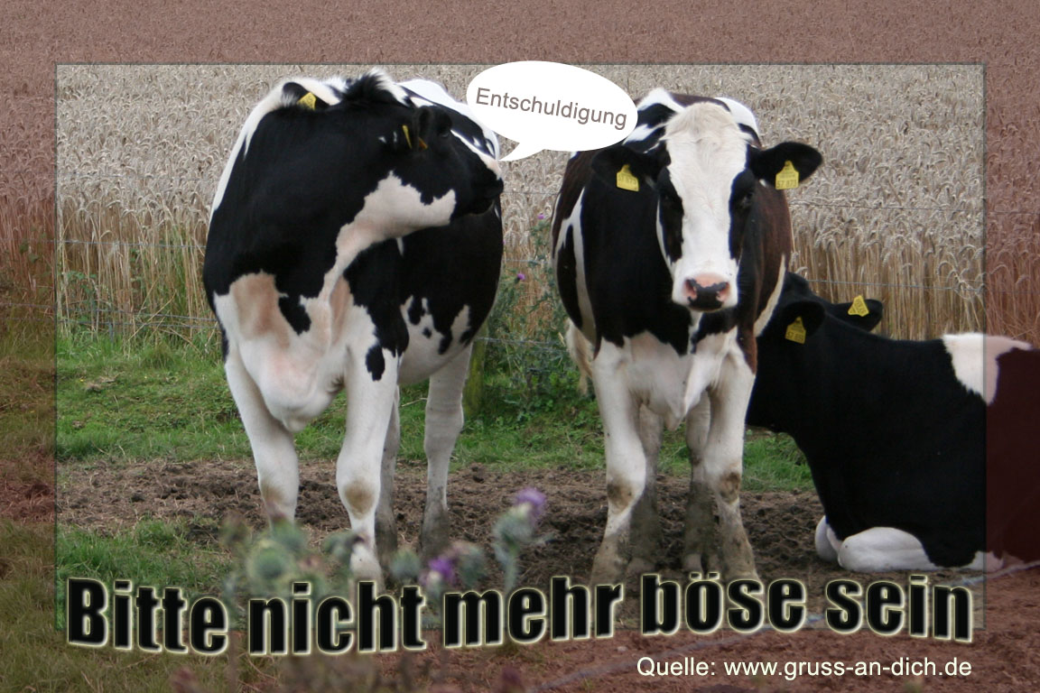 Entschuldigungskarte