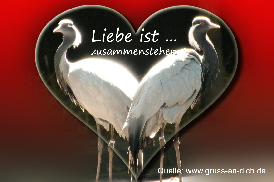 Liebeskarte