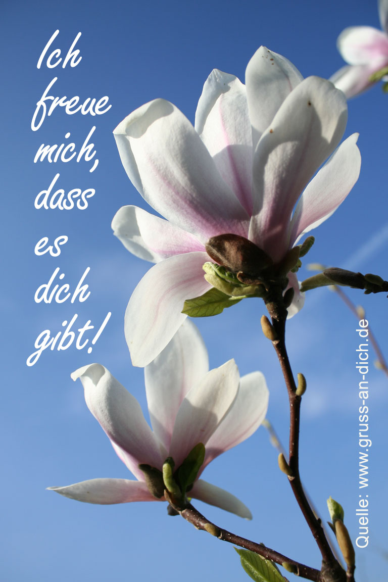 Freundschaftskarte