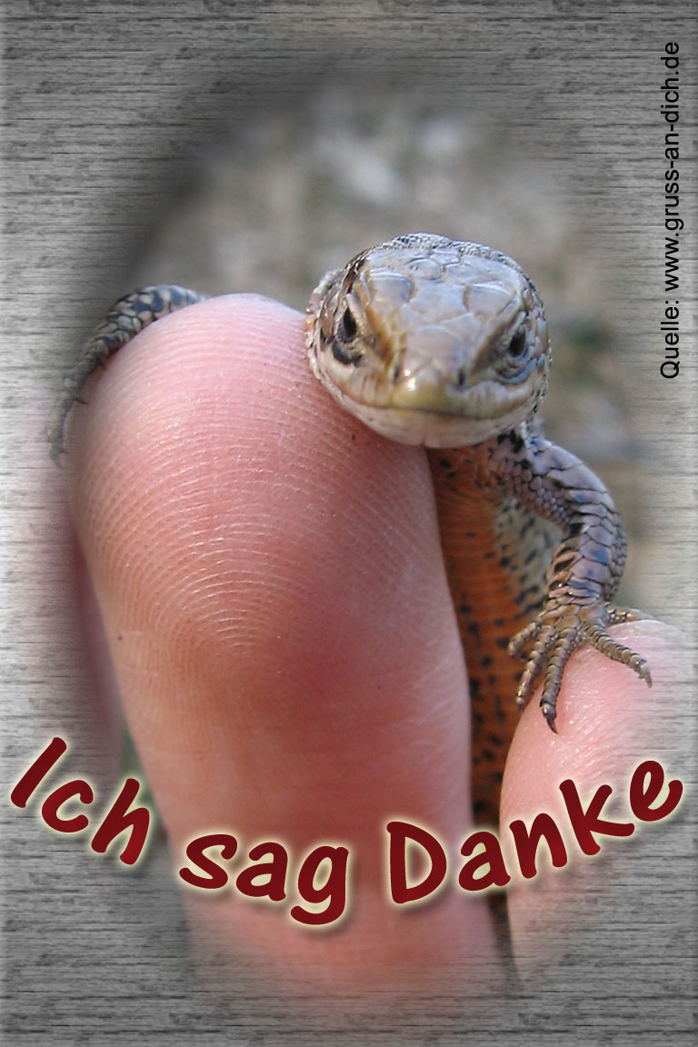 Dankeskarte