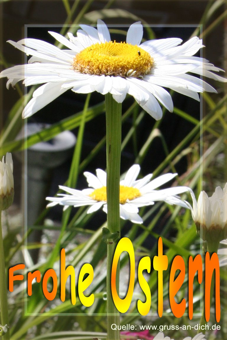Osterkarte