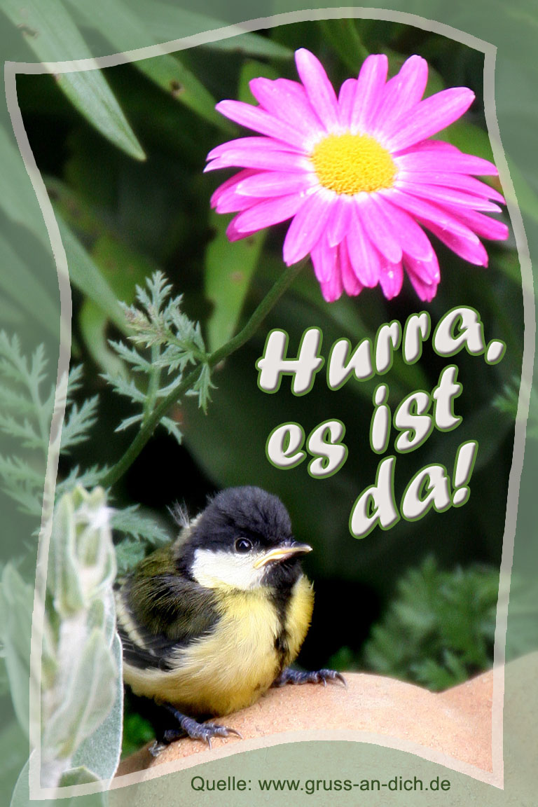 Karte zur Geburt