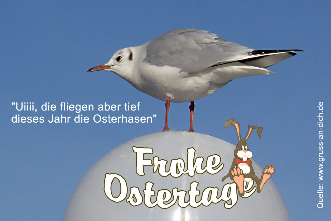 Lustige Karte