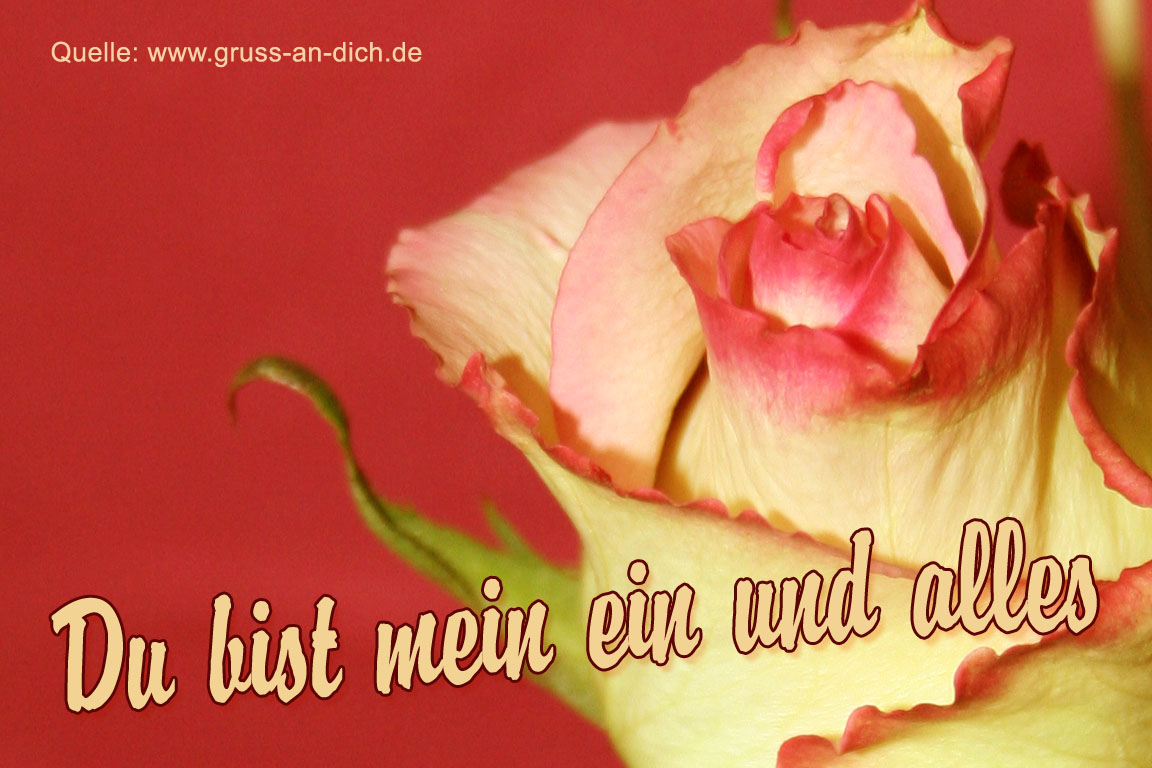 Valentinstag-Karte