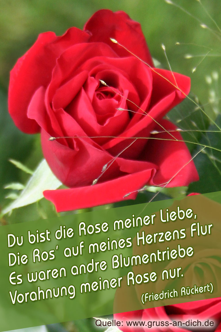 Romantische Karte