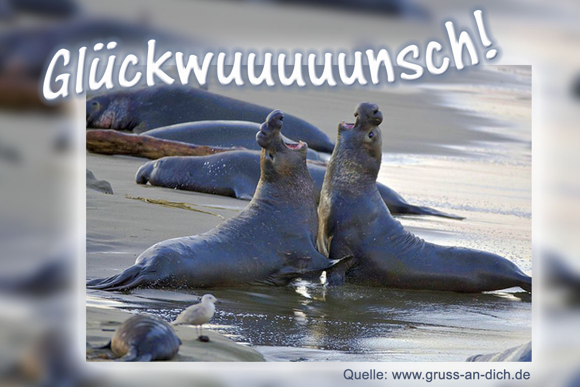 Glckwunschkarte