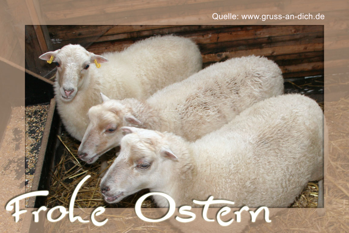 Osterkarte