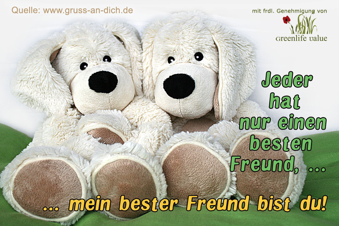 Freundschaftskarte
