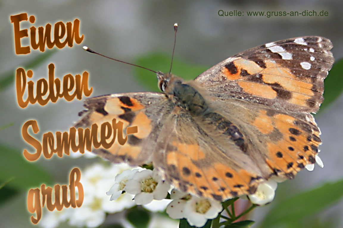 Sommerkarte