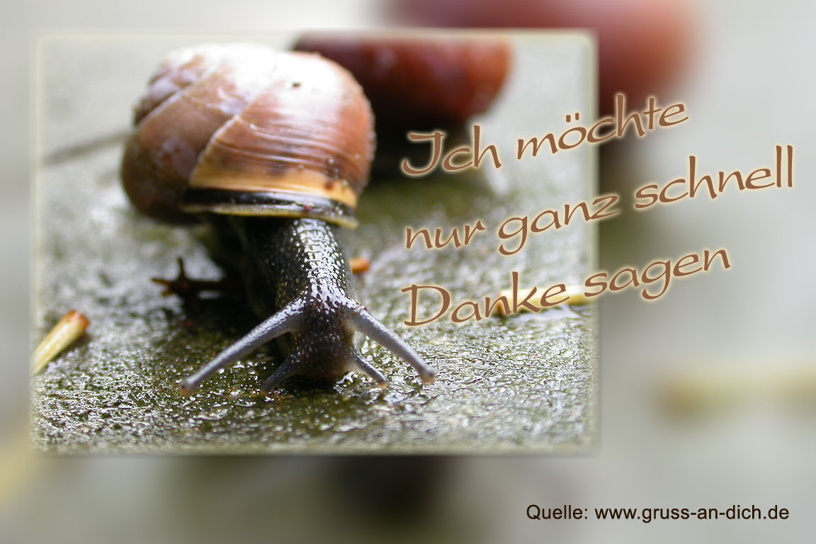 Dankeskarte