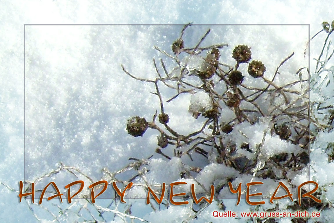 Neujahrskarte