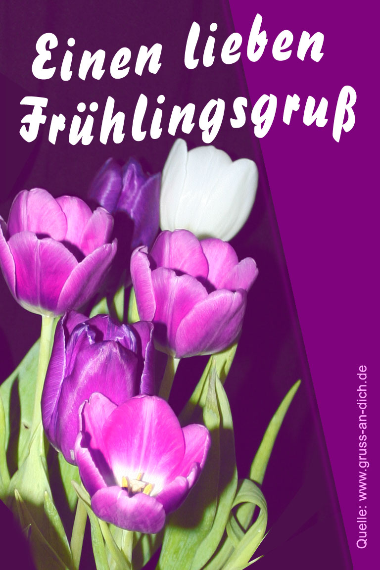 Frhlingskarte