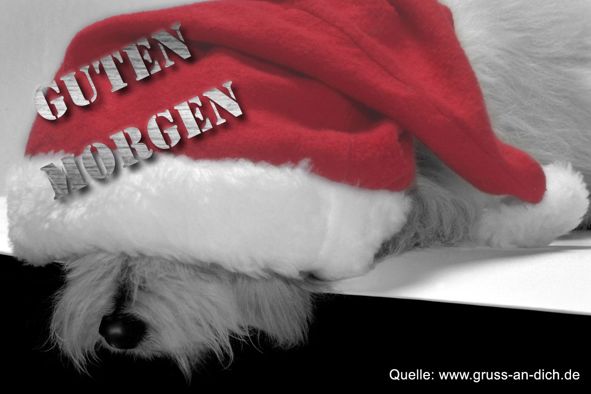 Guten Morgen-Karte