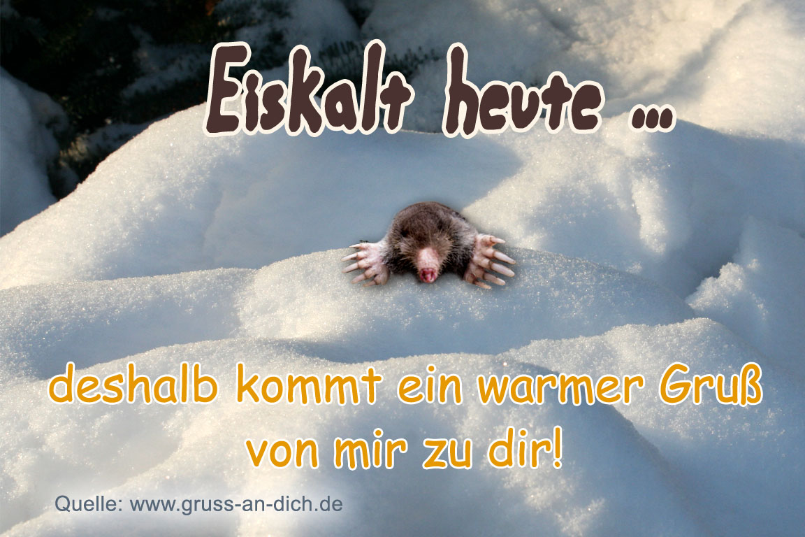 Winterkarte