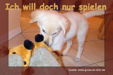 Freundschaftsgrukarte