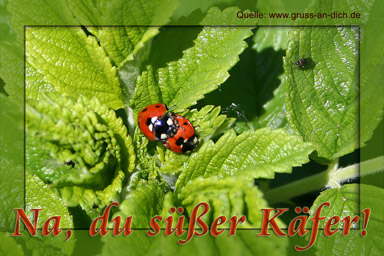 Liebesgrukarte