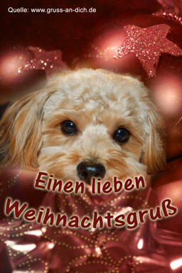 Weihnachtsgrukarte