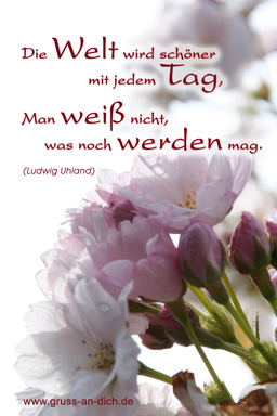 Karten mit Geburtstagsgedichten