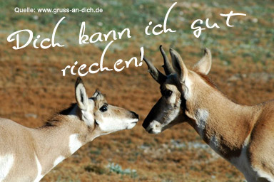 Liebesgrukarte