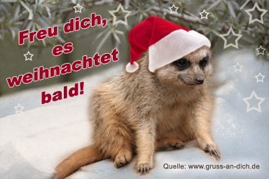 Adventsgrukarte