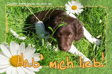 Sehnsuchtsgrukarte