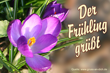 Frhlingsgrukarte