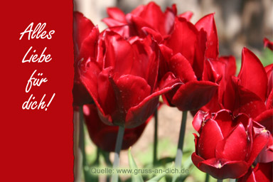 Geburtstagskarte, Tulpen, Text: Alles Liebe für dich!