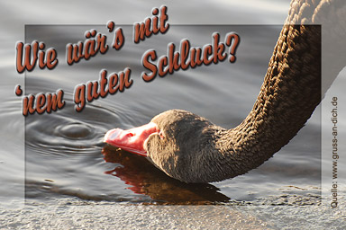 Einladungskarte