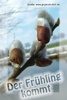 Frhlingsgrukarte