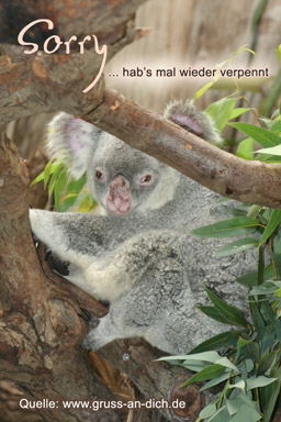 Entschuldigungsgrukarte