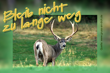 Sehnsuchtsgrukarte